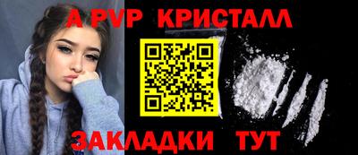 СК Кингисепп