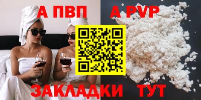 СК Кингисепп