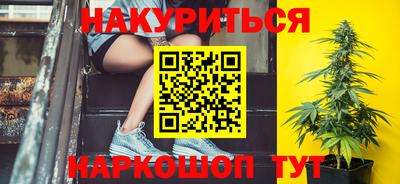 СК Кингисепп