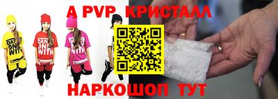 СК Кингисепп
