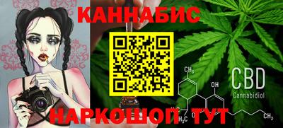 СК Кингисепп