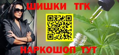 СК Кингисепп