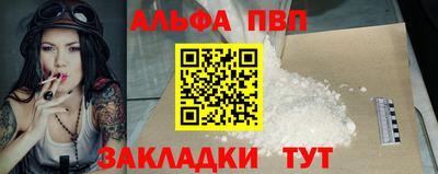 СК Кингисепп