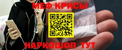 СК Кингисепп