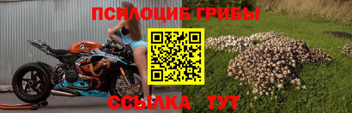 Котлас  Псилоцибиновые грибы Psilocybe  Галлюциногенные грибы Psilocybine cubensis  даркнет сайт  Вход с VPN 